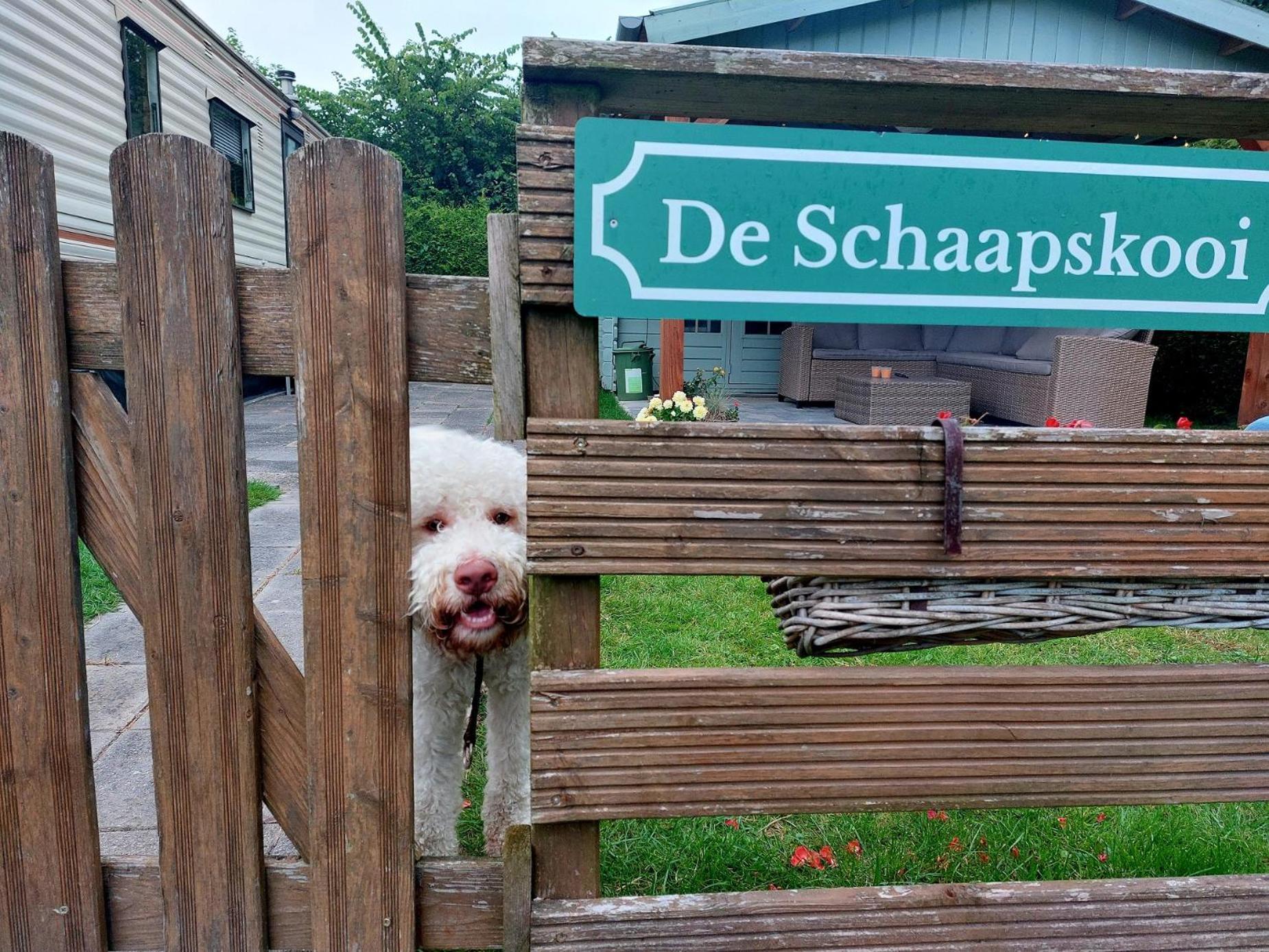 Familychalet De Schaapskooi, 6-Persons, Big Private Garden, Dogs Aloud Вестергест Екстер'єр фото